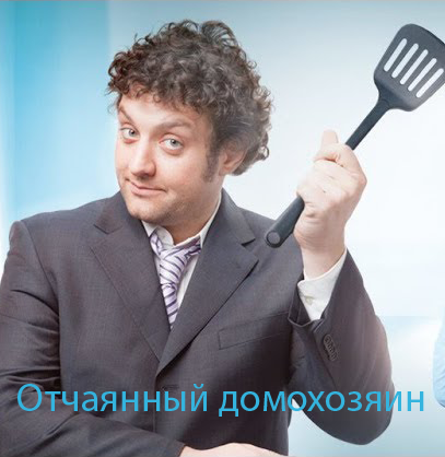 Отчаянный домохозяин (2017)