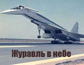 Журавль в небе (2017)