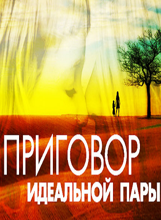 Приговор идеальной пары (2016)