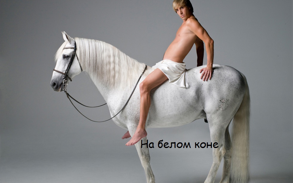 На белом коне (2016)
